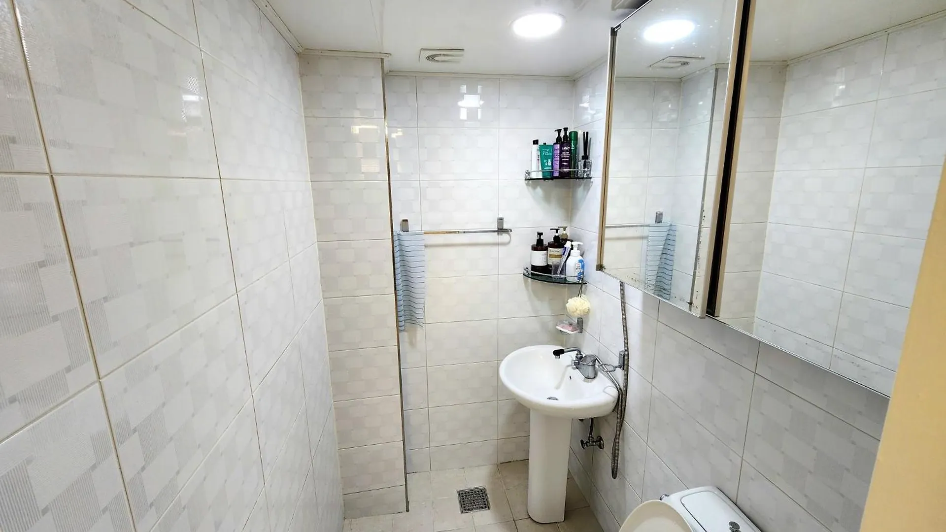 Near By Hongdae Fully Furnished, Quiet, Spacious House Seoul